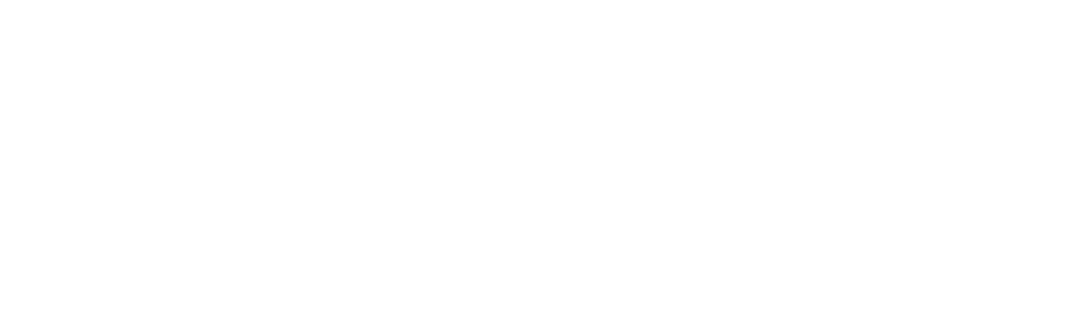 Sails of Adriatic Logo Negative